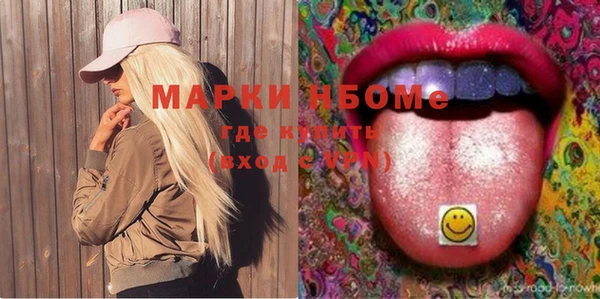 индика Сафоново