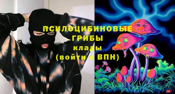 apvp Аркадак