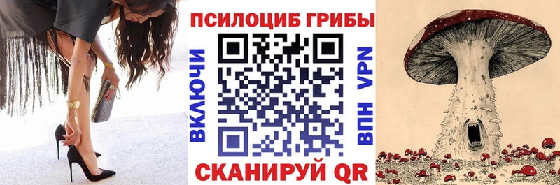 блэк спрут как войти  Камбарка  Псилоцибиновые грибы Psilocybe 